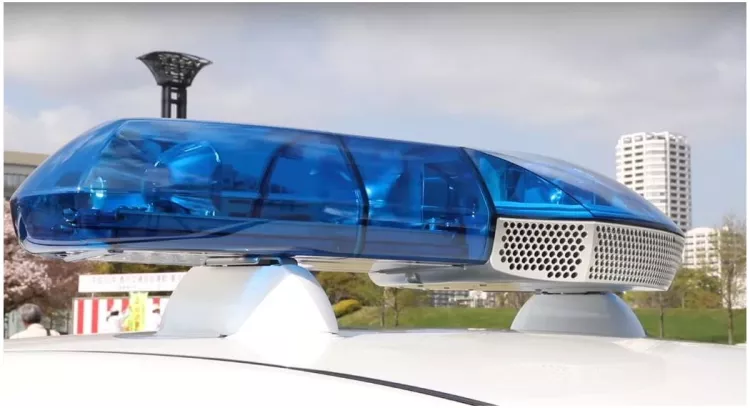 Nissan Leaf, electric police car
